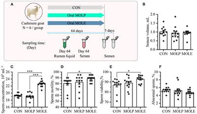Moringa oleifera leaf ethanolic extract benefits cashmere goat semen quality via improving rumen microbiota and metabolome